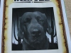 Skolehunden - Lærke er "Wanted" på sidste skoledag - maj 2015.